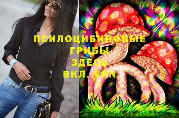 прущие грибы Алексеевка
