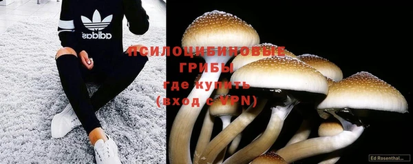 стаф Абдулино