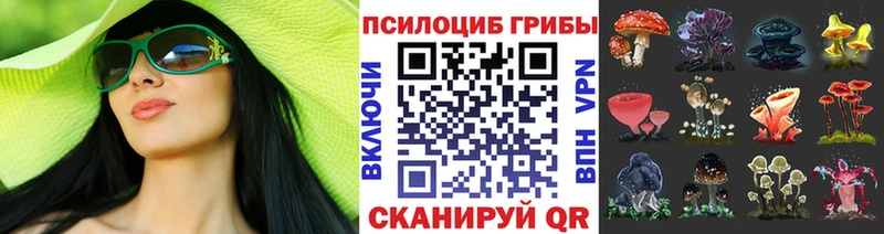 Галлюциногенные грибы мицелий  hydra ТОР  Брюховецкая 